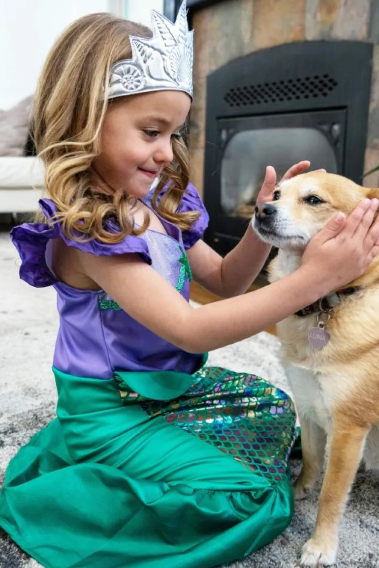 Traditional Dress Ups-Little Adventures, LLC Classic Mermaid