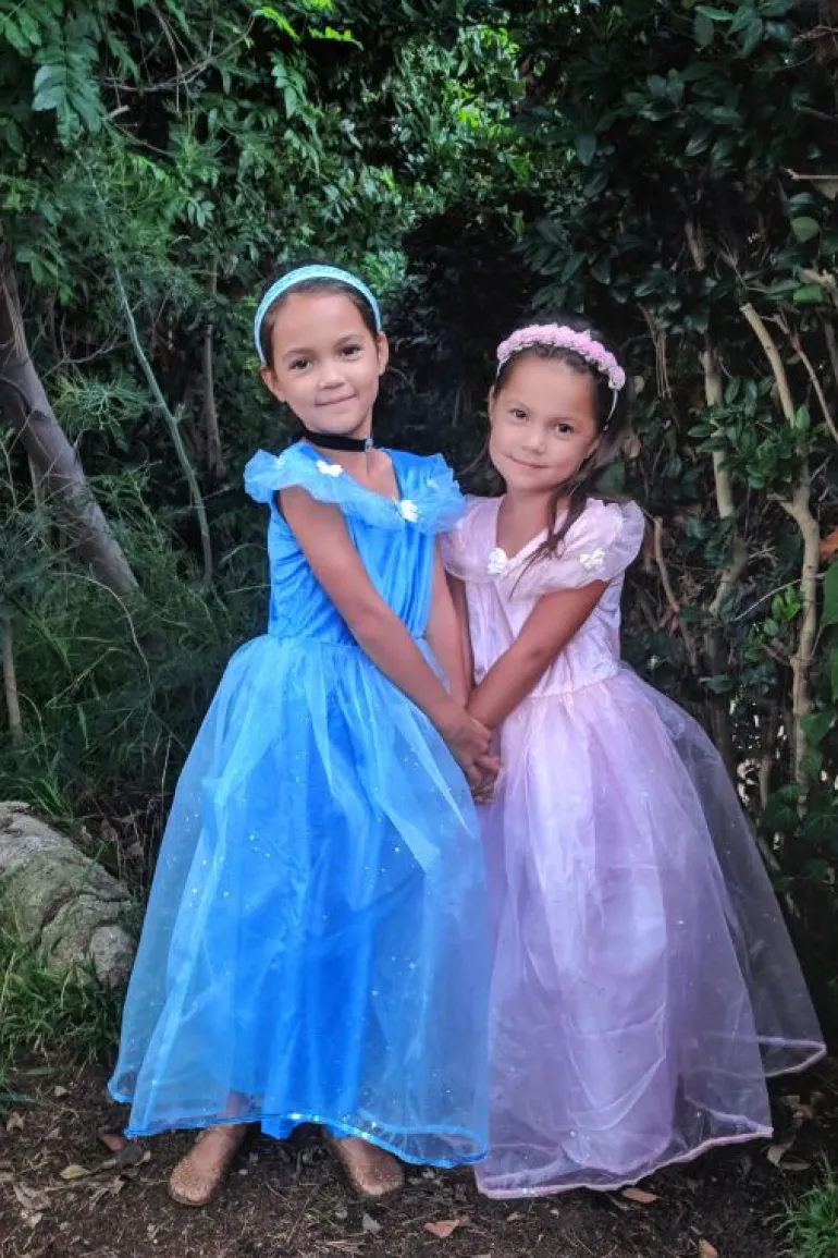 Deluxe Dress Ups-Little Adventures, LLC Deluxe Pink Butterfly Princess