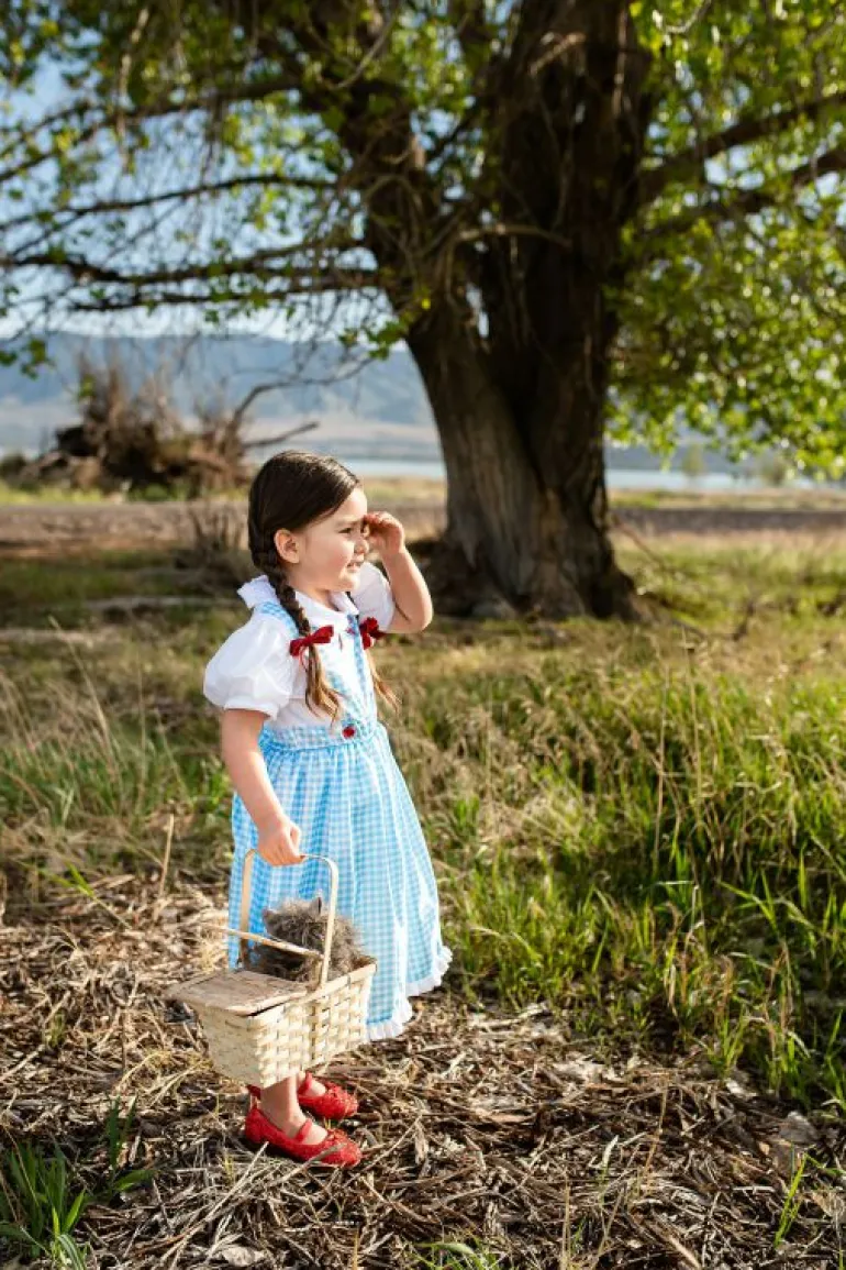 Traditional Dress Ups-Little Adventures, LLC Kansas Girl with Bows