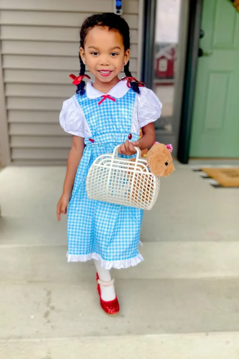 Traditional Dress Ups-Little Adventures, LLC Kansas Girl with Bows
