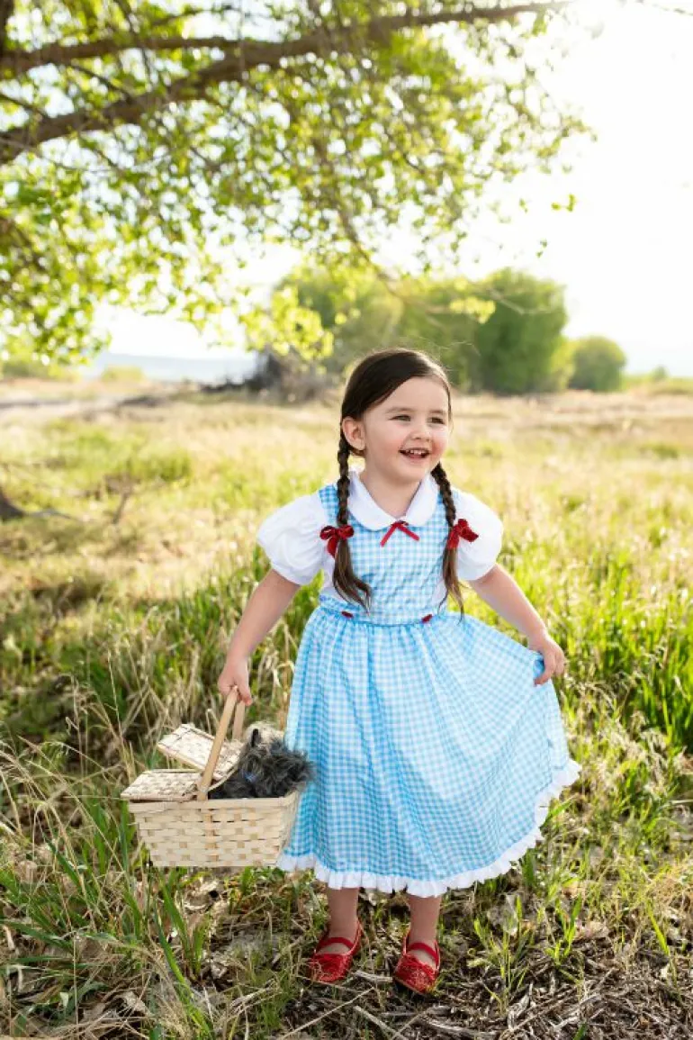 Traditional Dress Ups-Little Adventures, LLC Kansas Girl with Bows