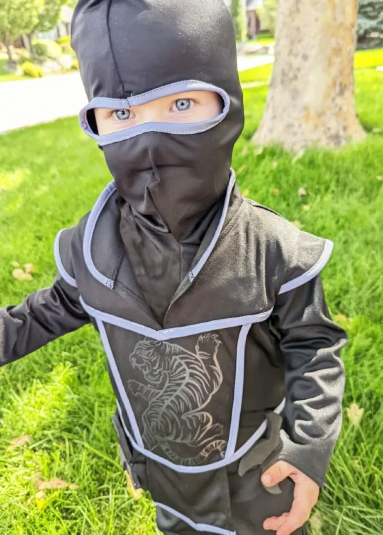 Princes | Ninjas-Little Adventures, LLC Ninja Set