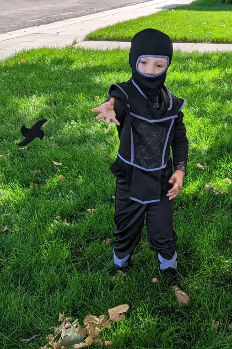 Princes | Ninjas-Little Adventures, LLC Ninja Set