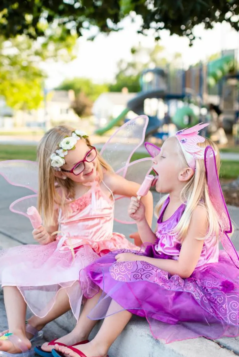 Accessories-Little Adventures, LLC Rose Garden Fairy Wings